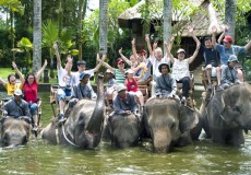 elephant -ride-bali-tour