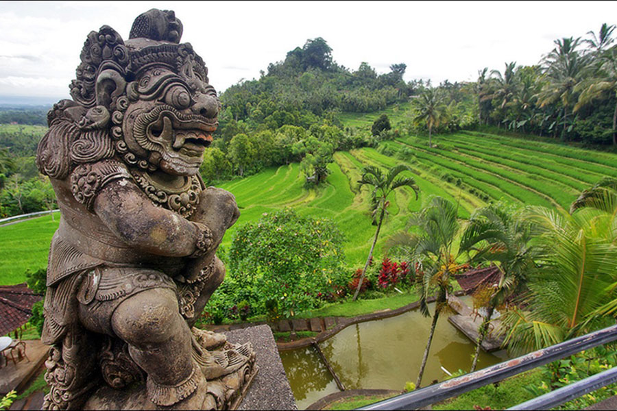 Tegalalang-Tour