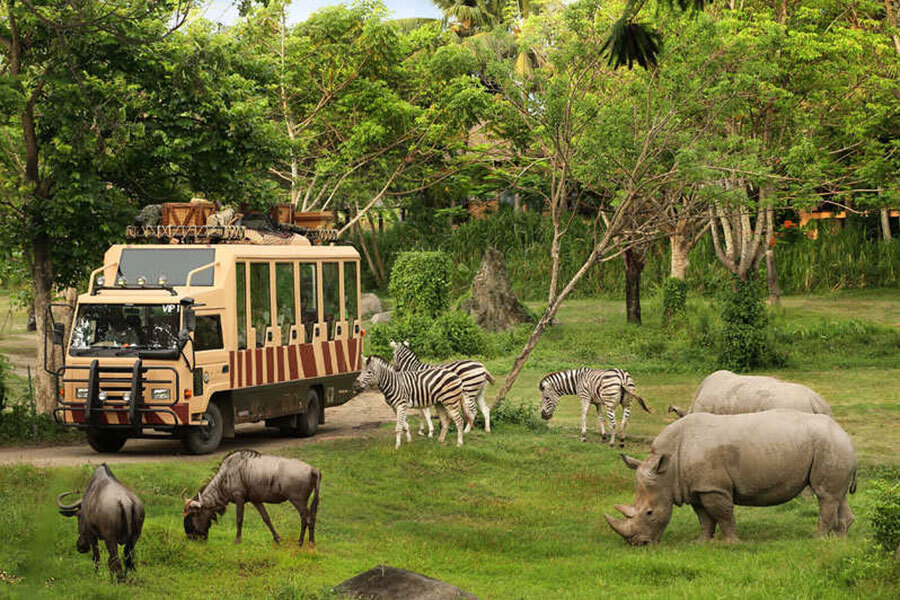 10-bali-safari (1)