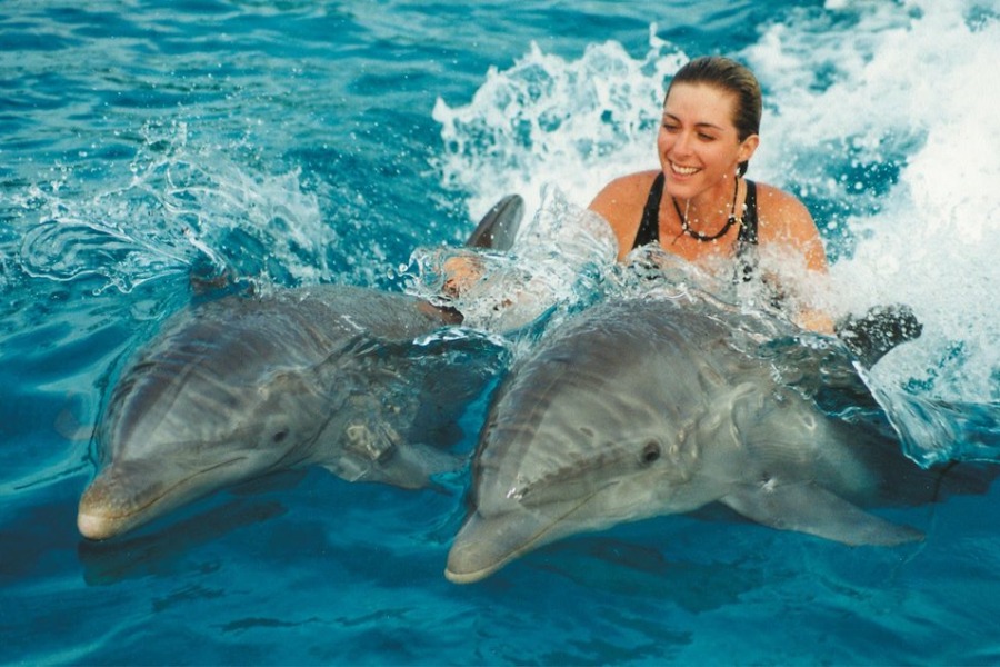 503-Dolphin-Swim-Tour-bali-tour4