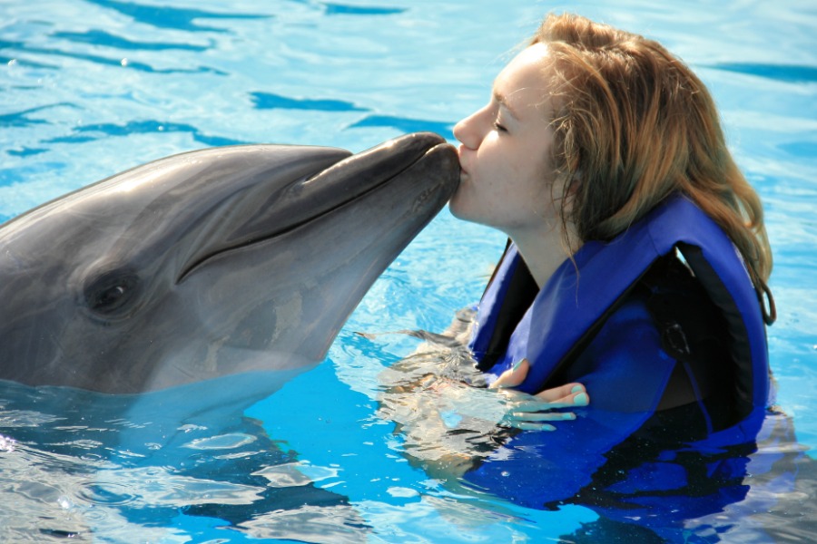504-Dolphin-Swim-Tour-bali-tour4