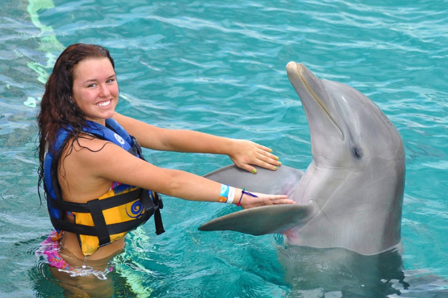 507-Dolphin-Swim-Tour-bali-tour4