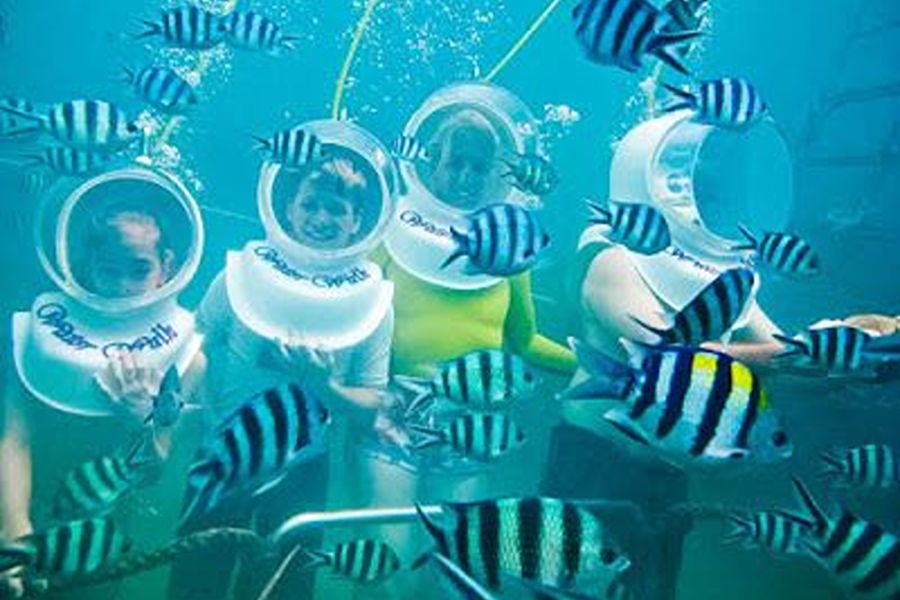 Sea Walker - (1)