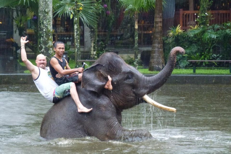 elephant-ride-bali-tour3