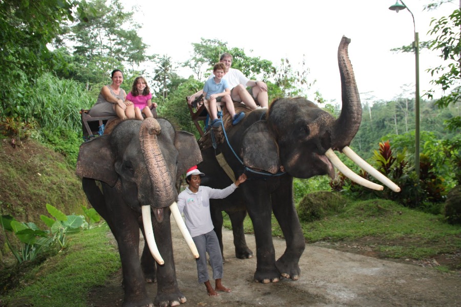 elephant-ride-bali-tour5