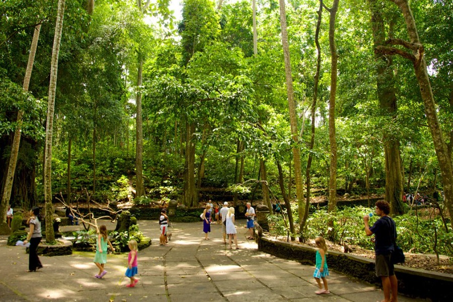 ubud-monkey-forest-bali_tour2